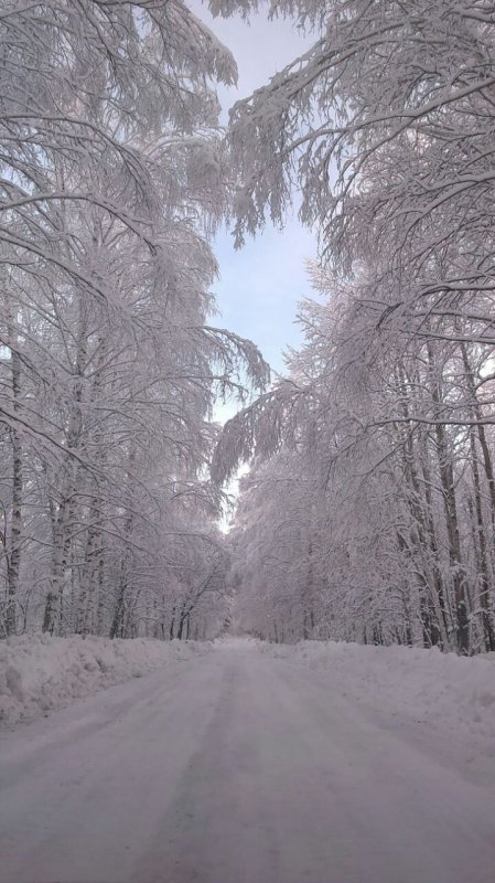 Снежок1