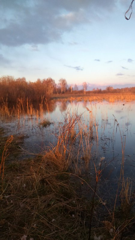 вечерка