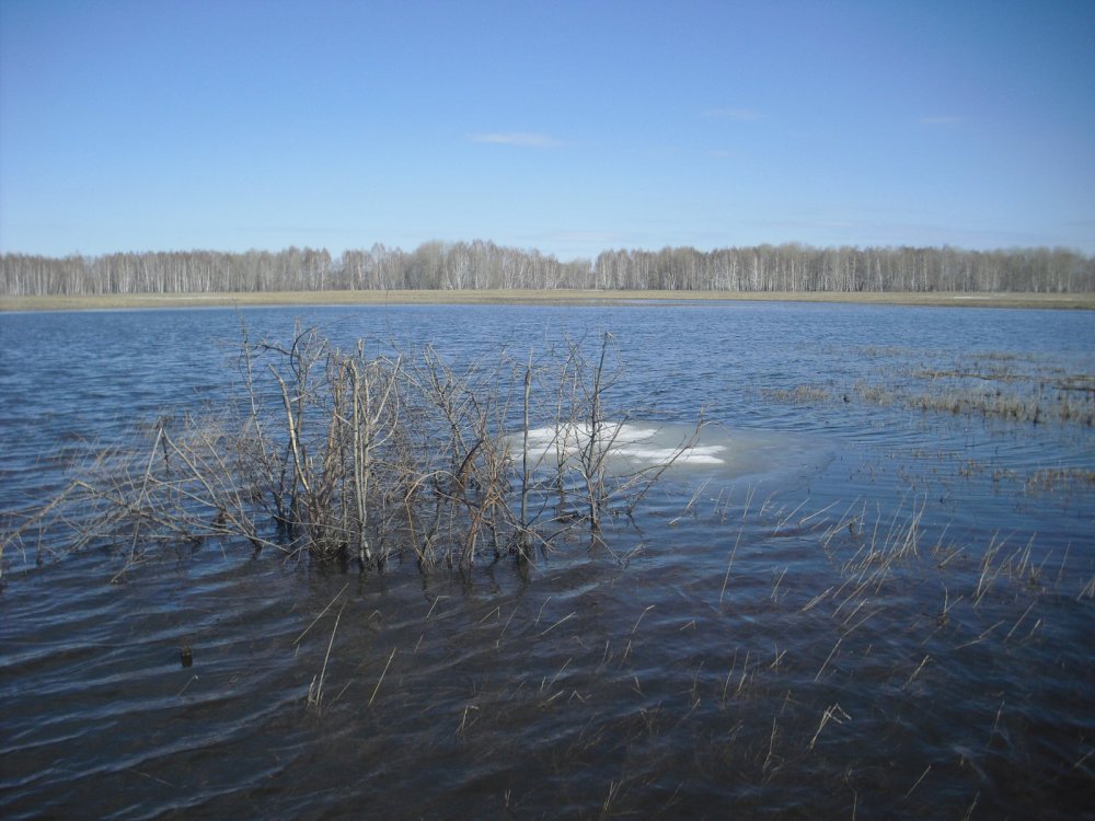 Прошлогодний,весенний скрадок. Нынче вразы - больше воды!