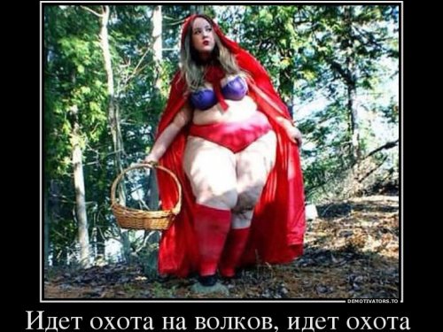 Любопытные записки совершенного егеря  Антона  Жерара  1865 год и его современных последователей