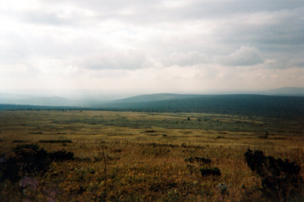 Урал, Кваркуш