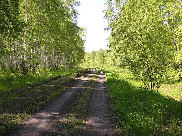 Дорожка в мечту.......