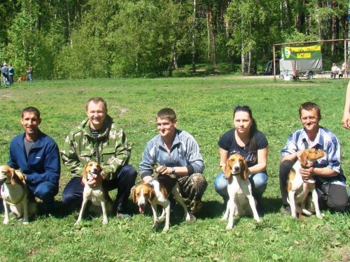 Новосибирская областная выставка.