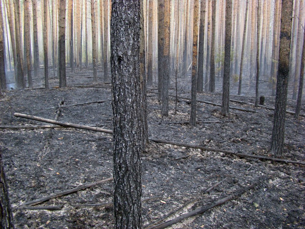 Фото для напоминания