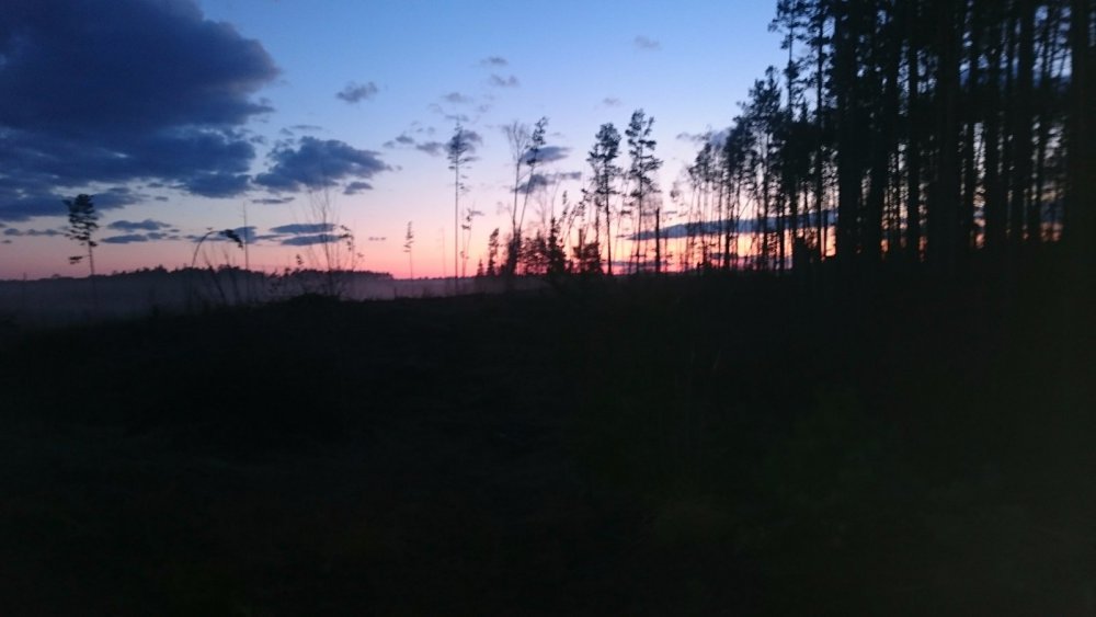 на закате