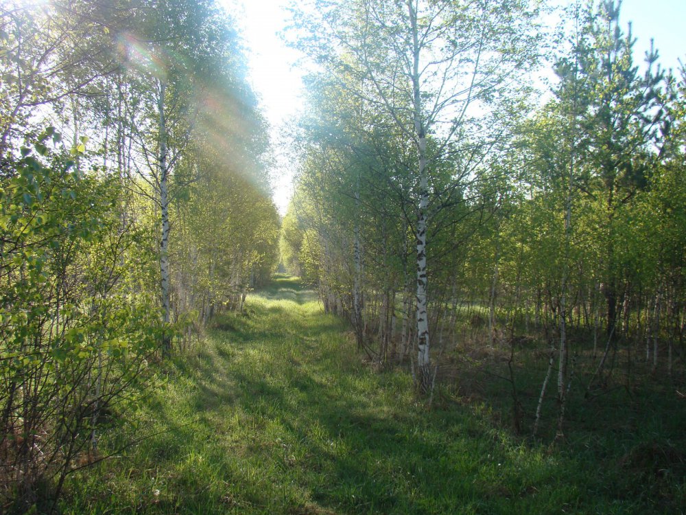 В нагонном.