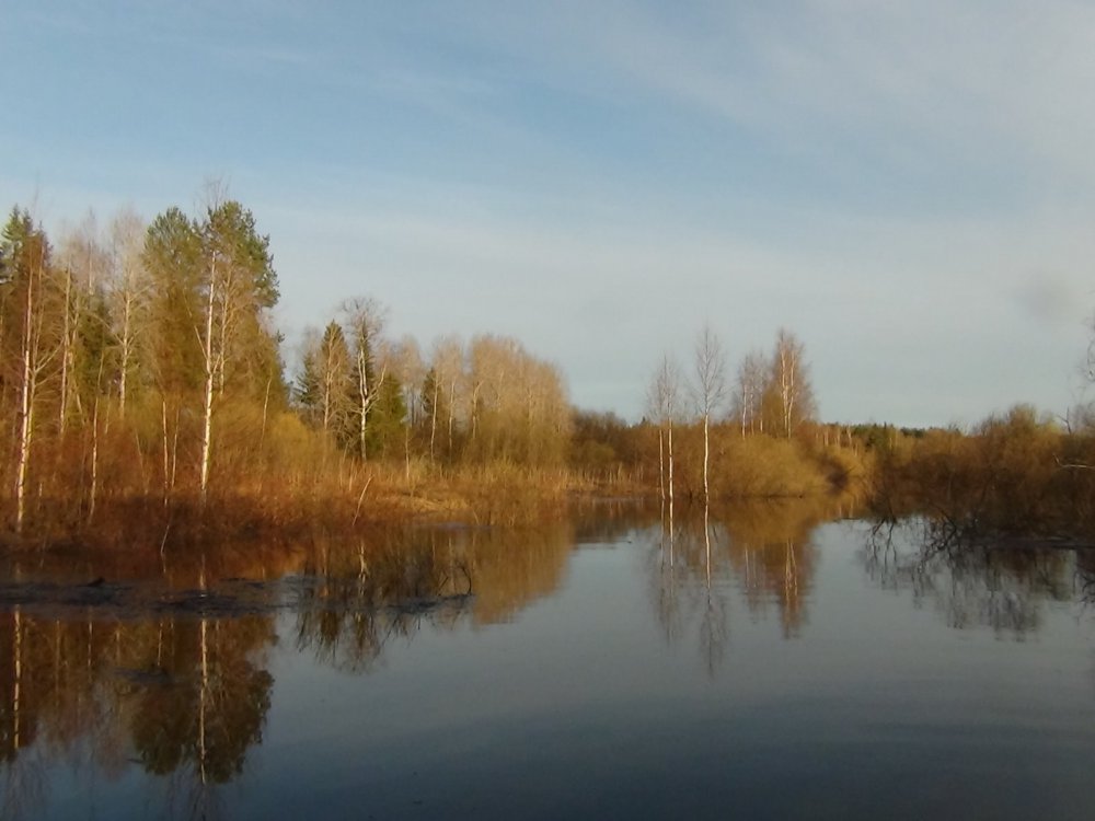 Стоит водичка, радует глаз