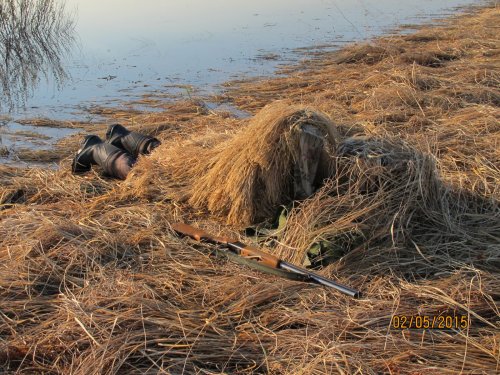 Весеняя охота 2015 на разливах в окрестностях Сузуна
