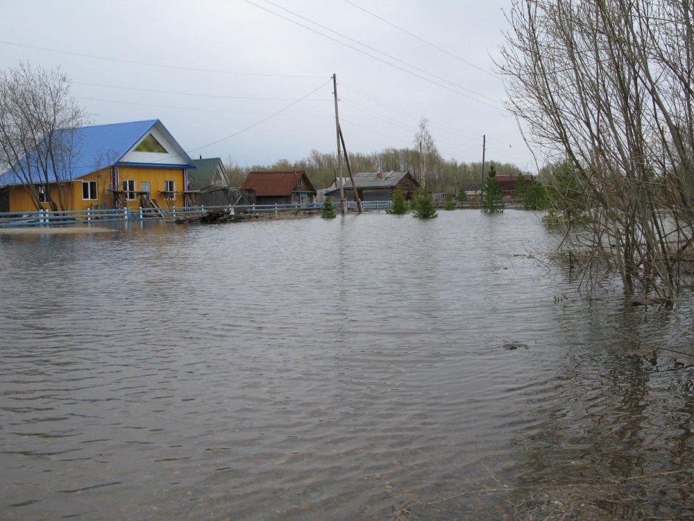 Чаинская Венеция.