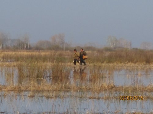 Весеняя охота 2015 на разливах в окрестностях Сузуна
