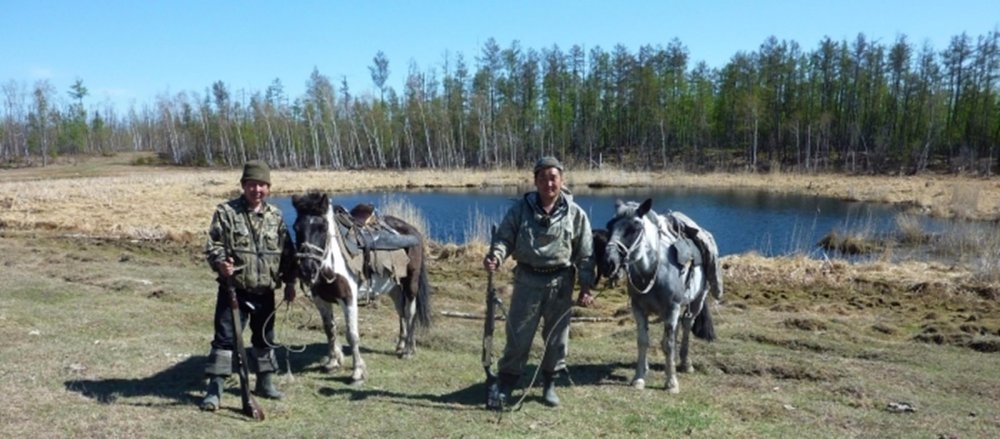 Наши лошадки неприхотливы, но выносливы