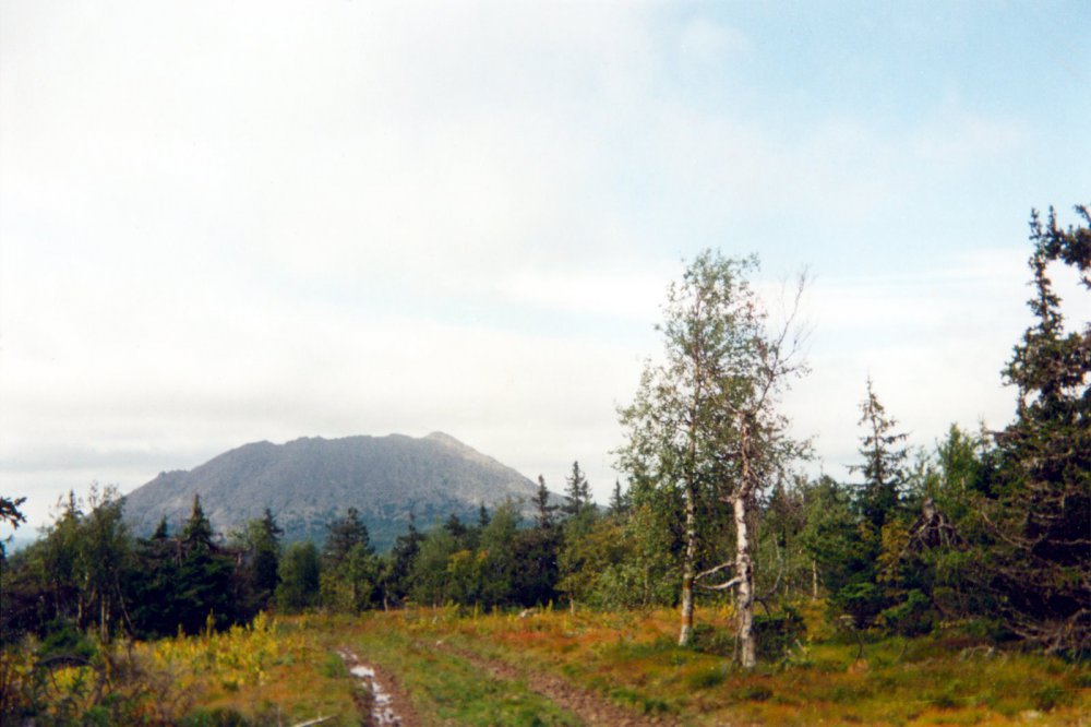 Из старых фотографий, камень