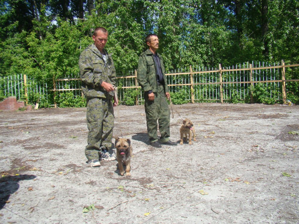 Участники выставки  г.Тогучин.