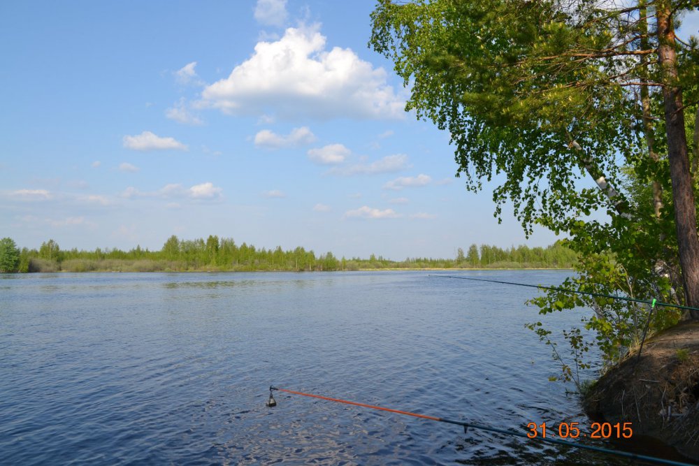 прекрасный день