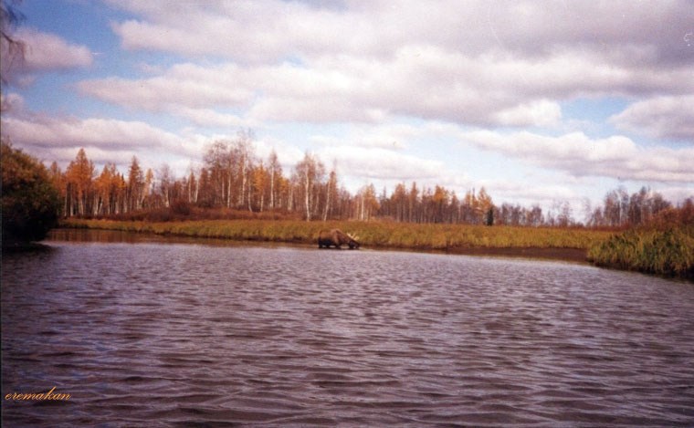 Осень