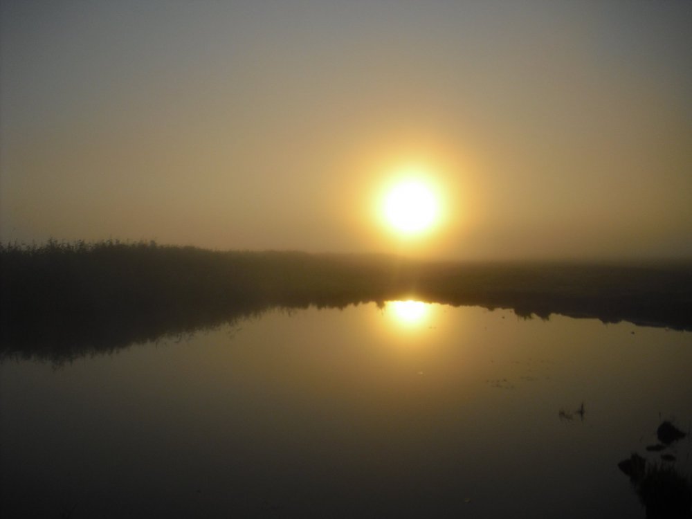 Первоиюльское туманное утро на озере.