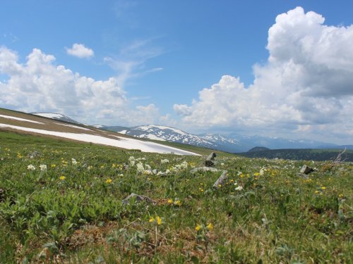 Сентелек. Алтайский край, Чарышский р - он.