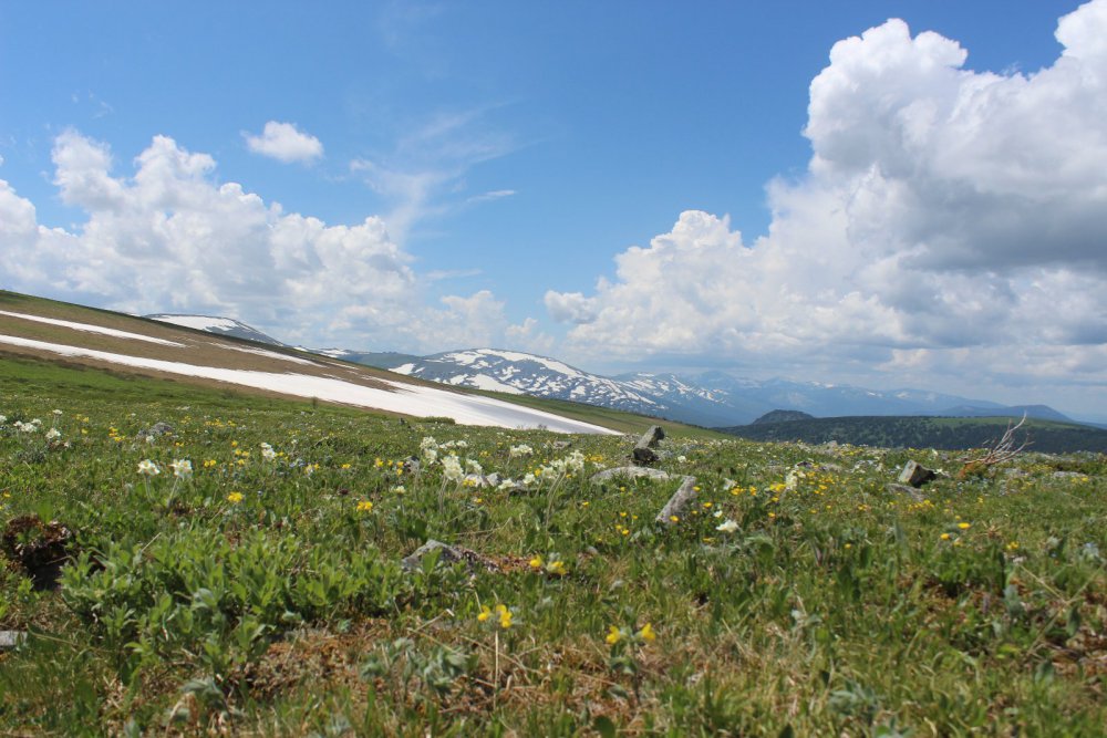 Село Сентелек Алтайский край