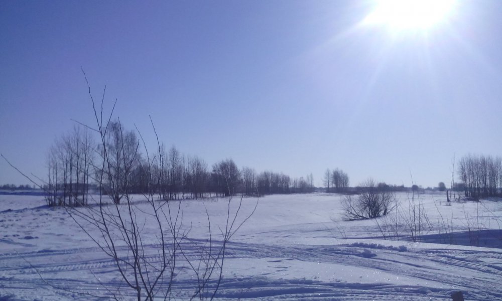 Утро перед охотой