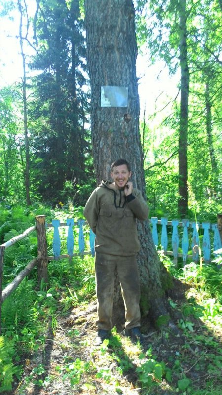У дерева.