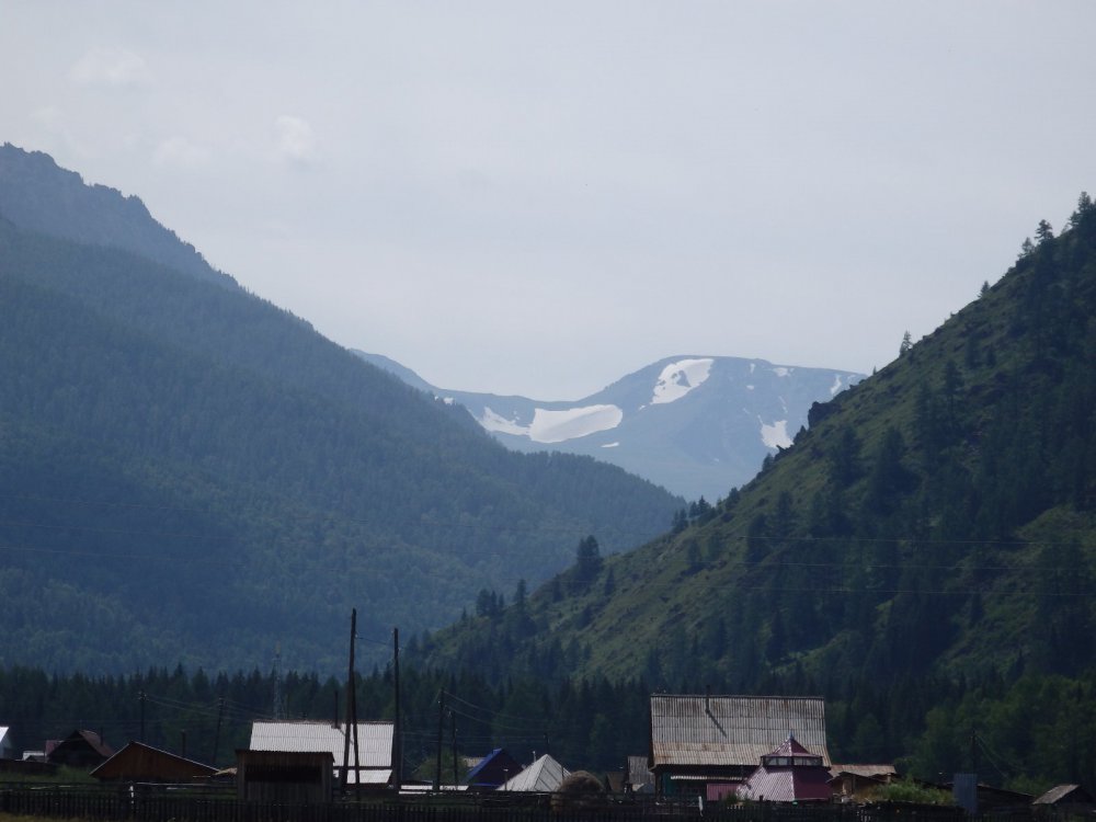 белки