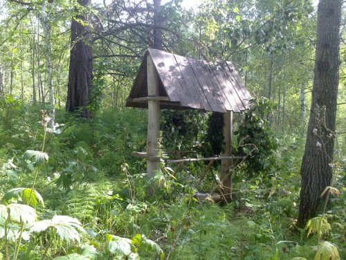 реанимация старого солонца