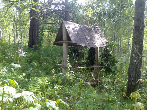 реанимация старого солонца