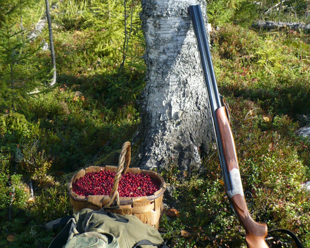 Брусника