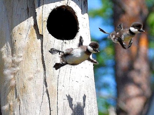 Юмор с просторов Инета