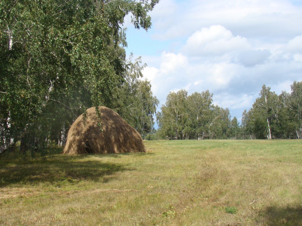 Август, покосы.