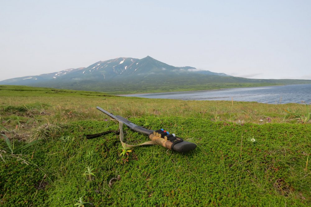 15 августа