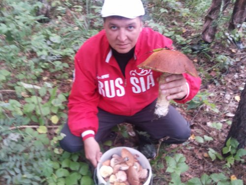 Грибочки ТО