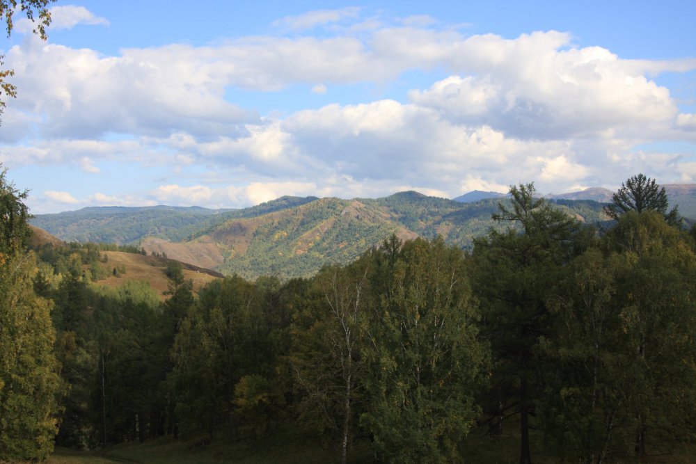 Алтай, начало сентября