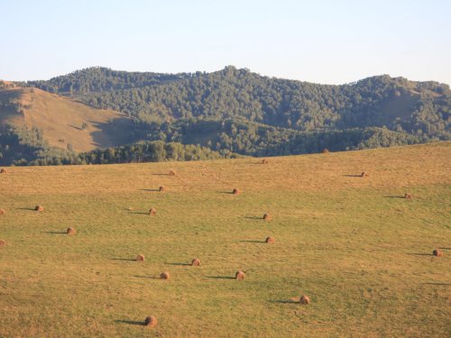 Алтай