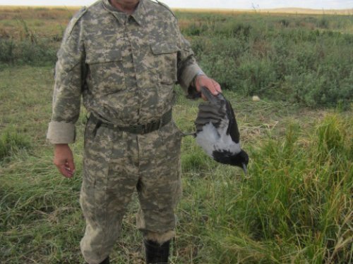 Попалась.