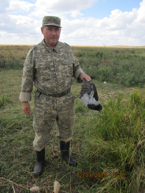 Попалась.