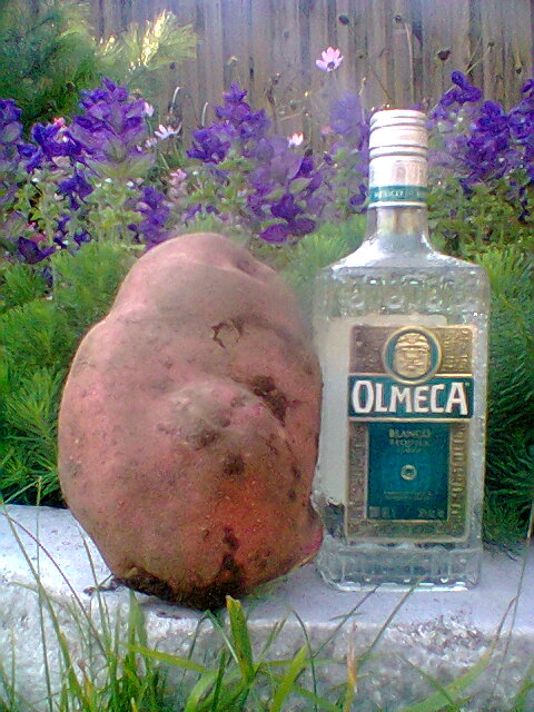 Откопались.