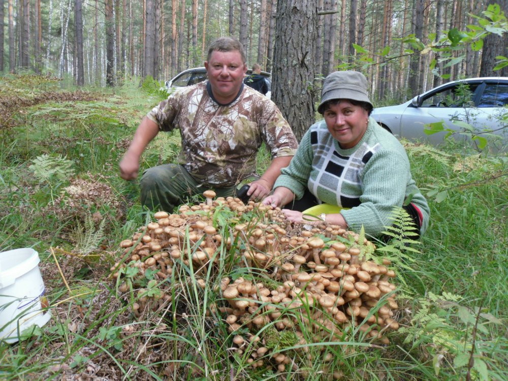 Открытие сезона.Пятница день.