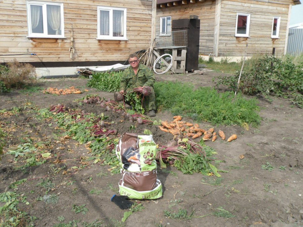 Заготовки на зиму.