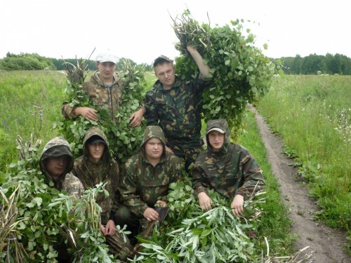 Забота о братьях наших  меньших