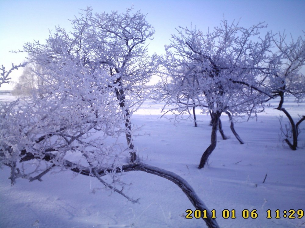 Красоты зимы