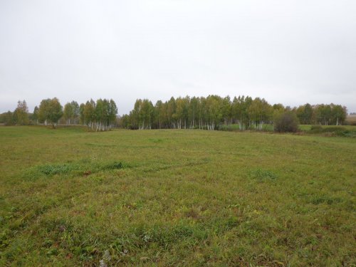 В непогоду..