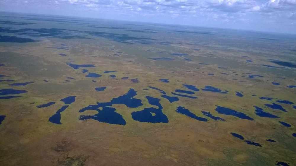 ...с высоты птичьего полёта