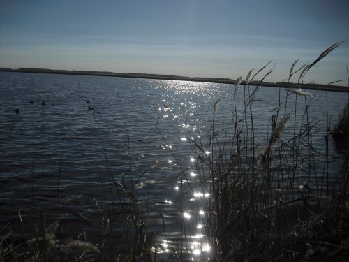 Поздние северяне на фоне озерного блеска.