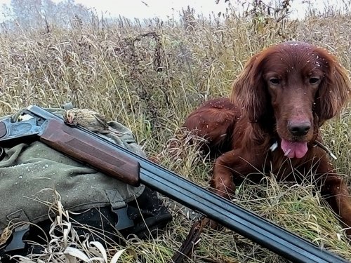 По полевой.