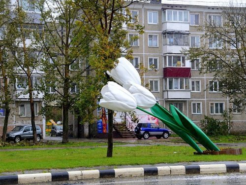 Циклон 2 окт. Сахалин