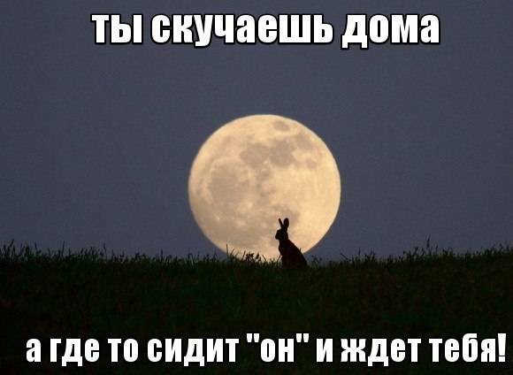 ))