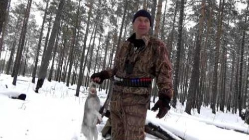 Охота на зайца c подхода по первому снегу - 2015