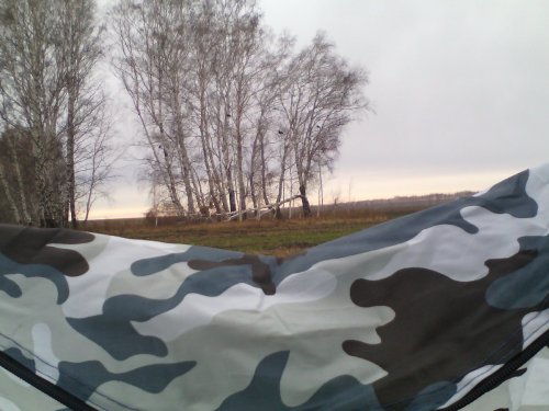 На тетерева с чучелами