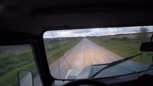 Охота на кабана на зерновых полях